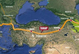 Turkey not to leave TANAP